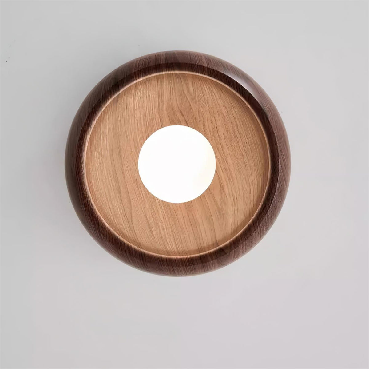 Selivel Ceiling Light