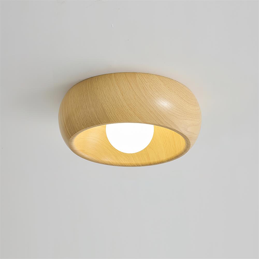 Selivel Ceiling Light