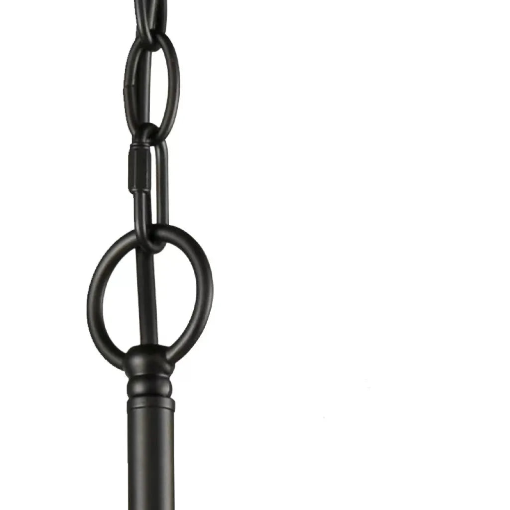 Nibutum Modern LED Chandelier Black Metal Bedroom Living Room
