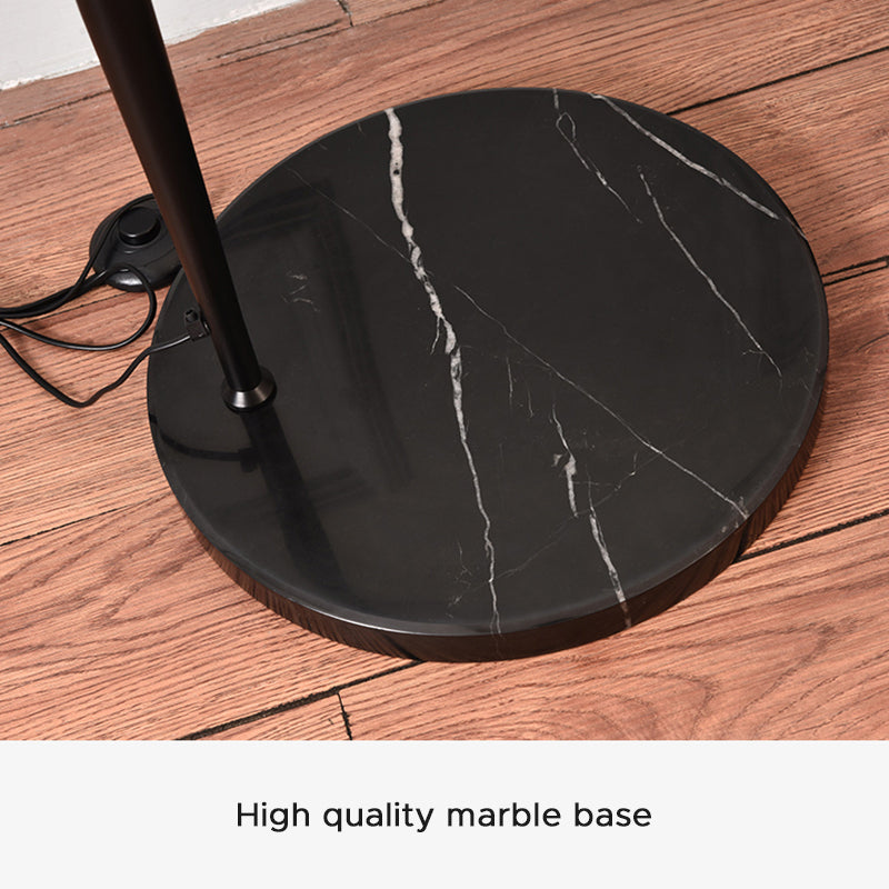Gomedas Modrn Fishing Rod Metal Floor Lamp, Black