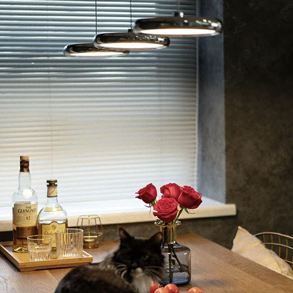 Mobimis Minimalist Circular Metal Pendant Light,Silver/Gold/Rose Gold