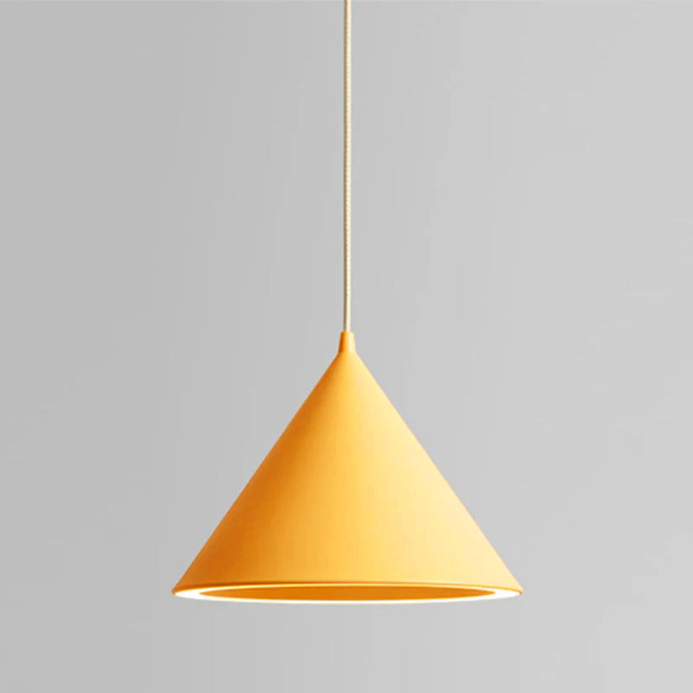 Nasapus Funnel-Shape Colourful LED Pendant Light