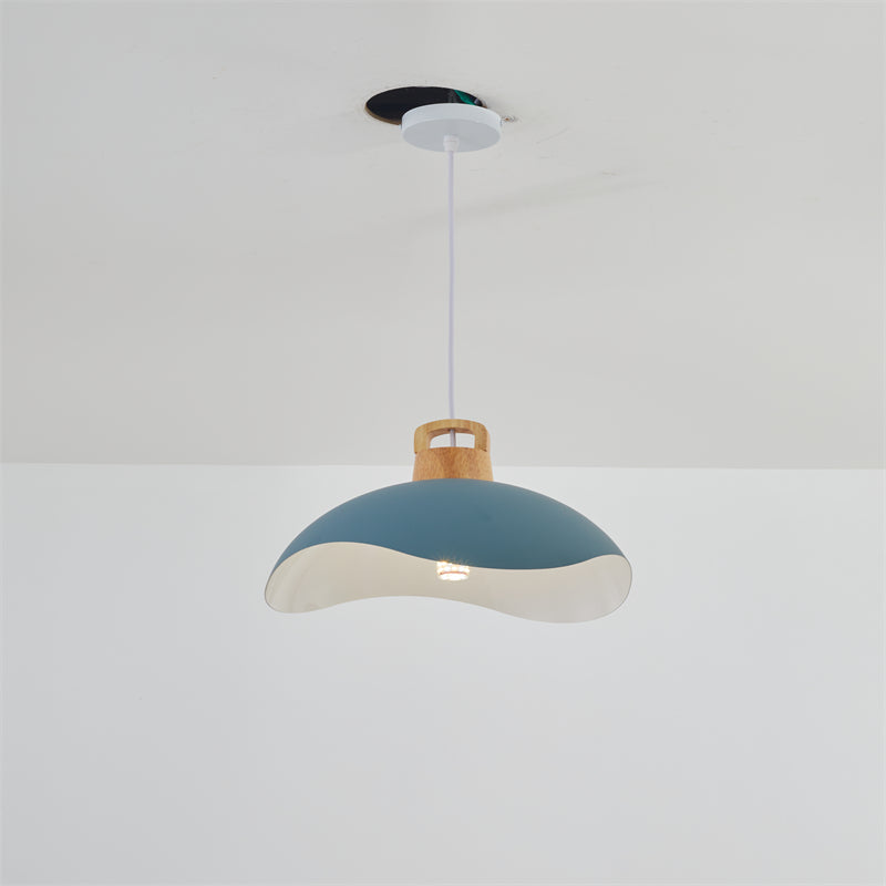 Hobokik Colorful Shade Single Pendant Lights, Wood & Metal