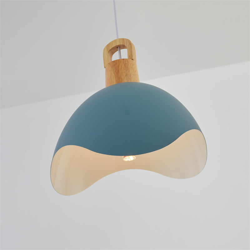 Hobokik Colorful Shade Single Pendant Lights, Wood & Metal