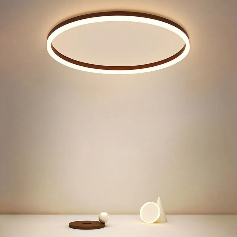 Dunomut Minimalist Ring Metal Flush Mount Ceiling Light, Black