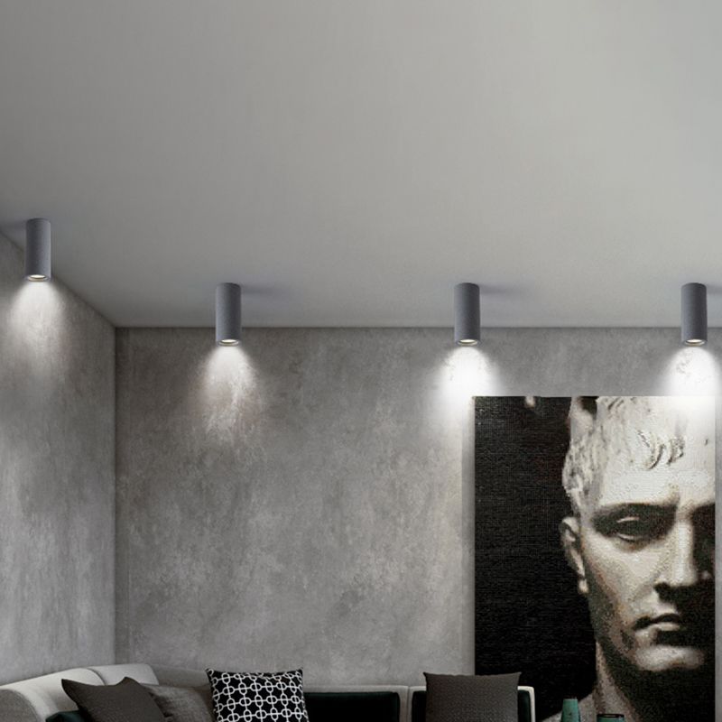 Raderul Modern Cylinder LED Flush Mount Ceiling Light, Living Room