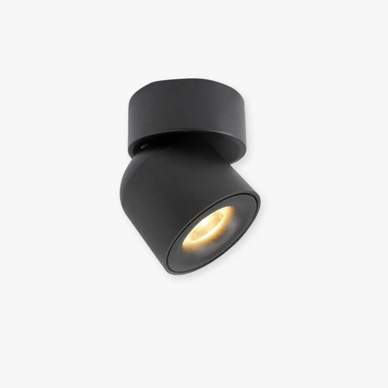 Lurix Spotlight Modern LED Flush Mount Ceiling Light, Black/White-Neutral Decor