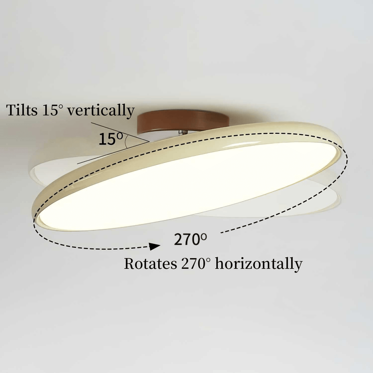 Elmsfield Adjustable Flush Mount Ceiling Light