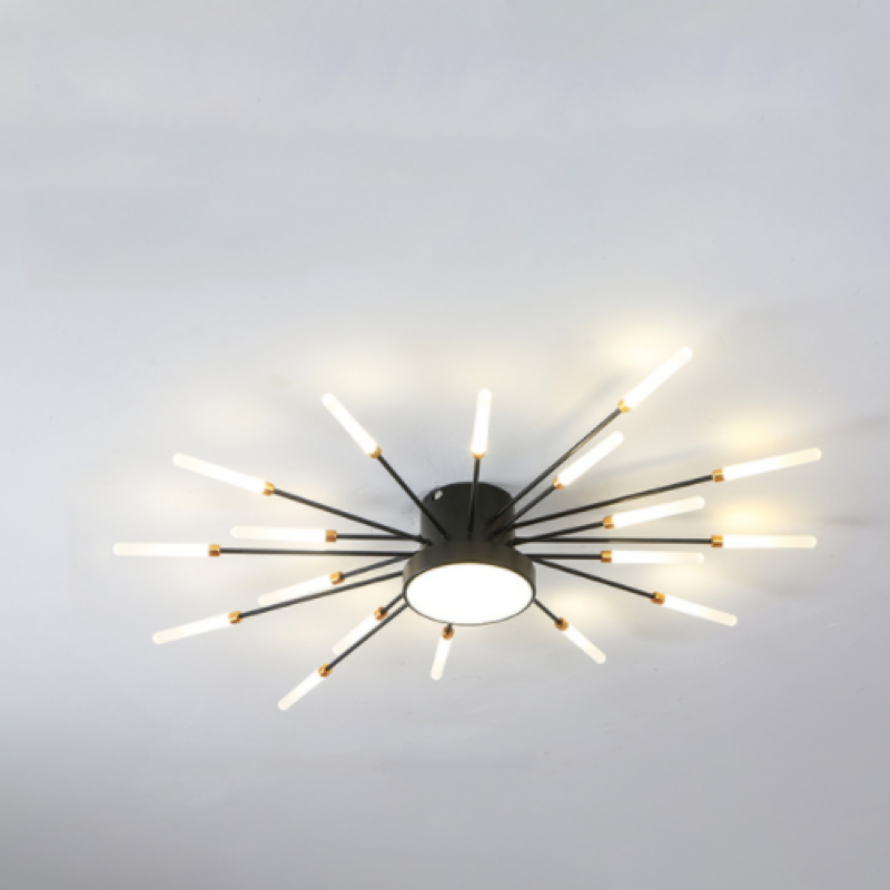 Vexor Modern Home Decoration Fireworks LED Ceiling Light-Neutral Decor