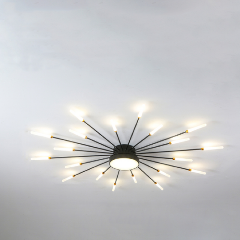 Vexor Modern Home Decoration Fireworks LED Ceiling Light-Neutral Decor