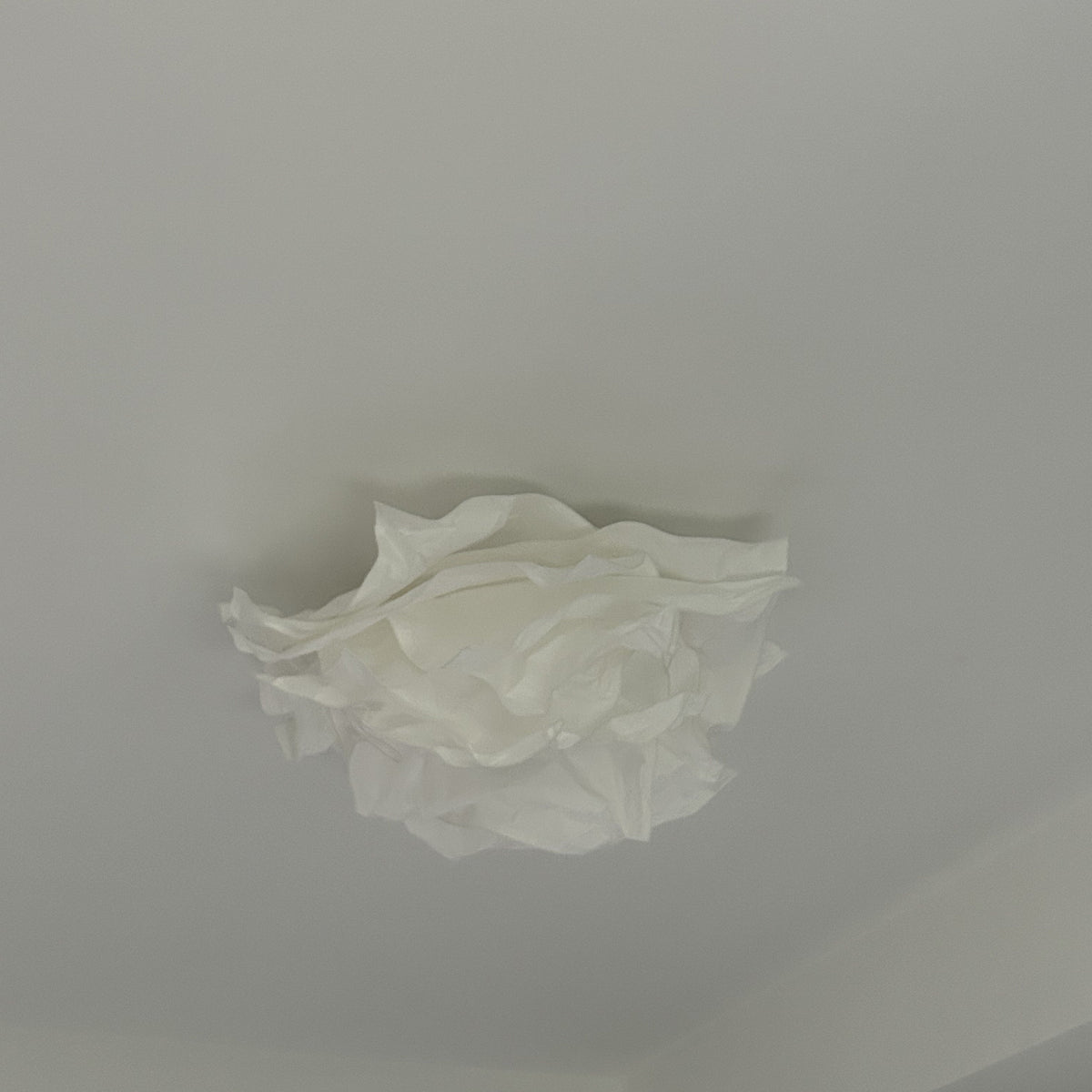 Jenupiko Flush Mount Ceiling Light Design Flower Natural Paper