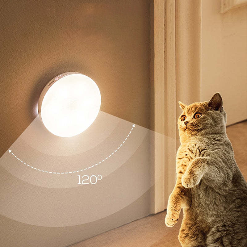 Vinigak Magnetic Sensor Wall Light
