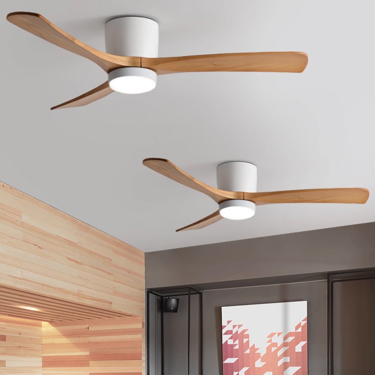 Elaerine Ceiling Fan Light
