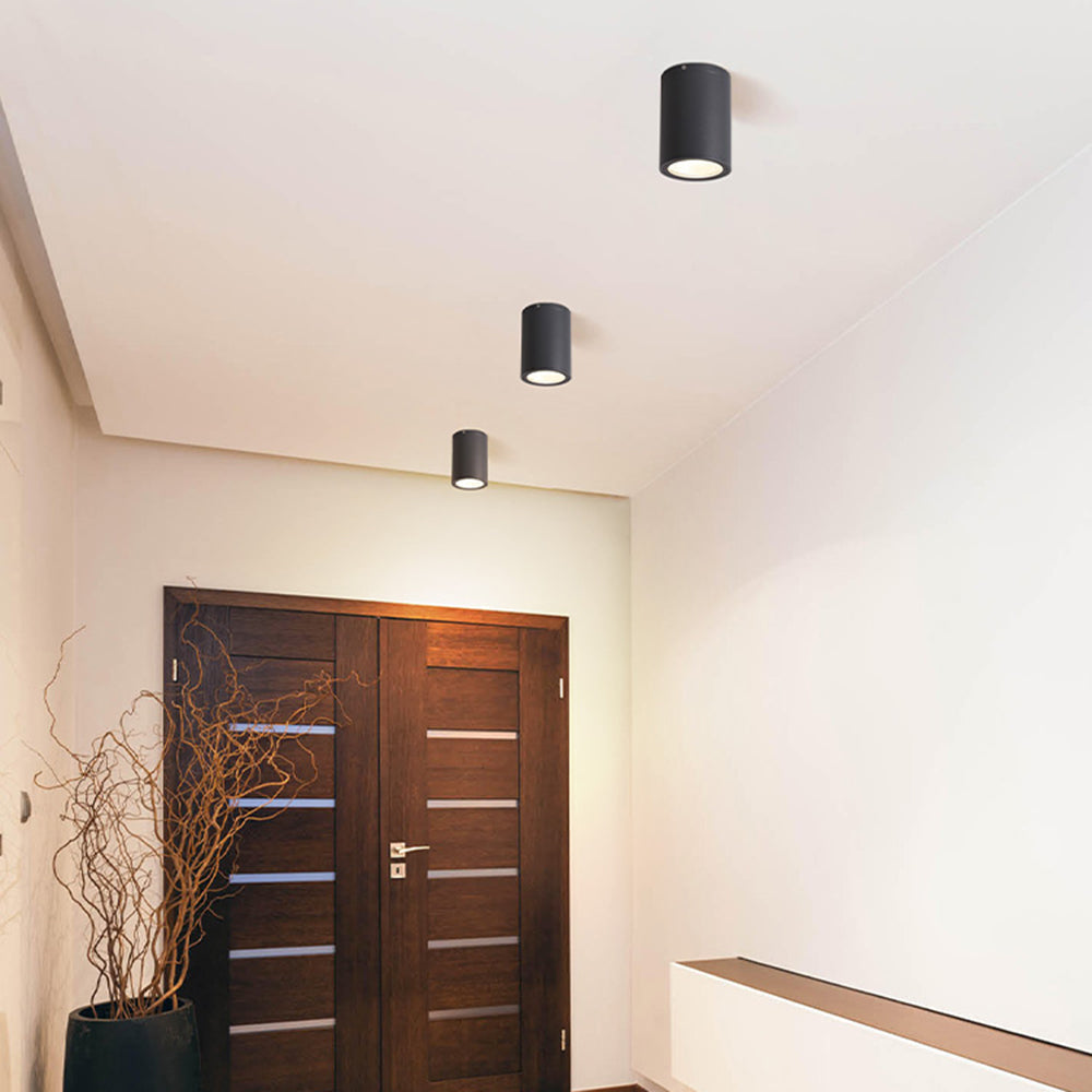 Rogiter Modern Black Cylindrical Flush Mount Ceiling Light Spotlight
