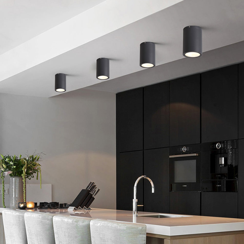 Rogiter Modern Black Cylindrical Flush Mount Ceiling Light Spotlight