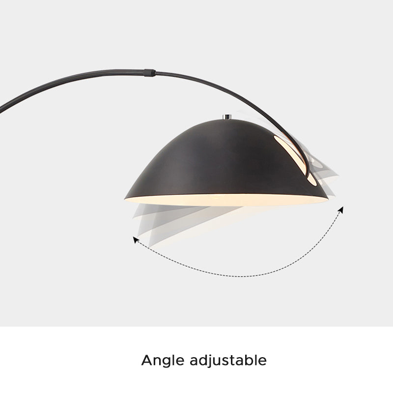 Gomedas Modrn Fishing Rod Metal Floor Lamp, Black