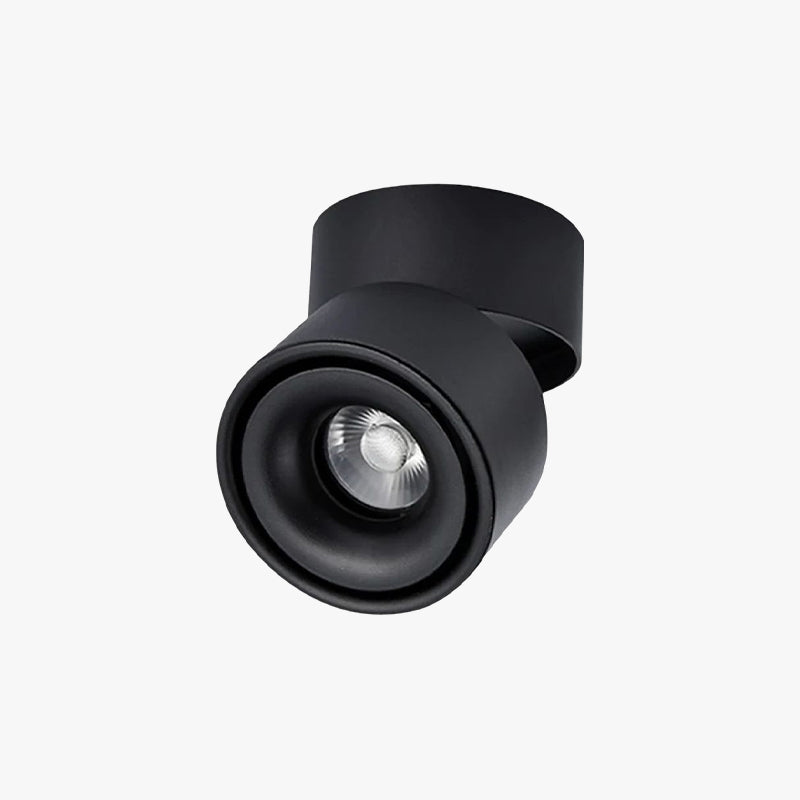 Tavenil Round Rotatable Ceiling Light Spotlight