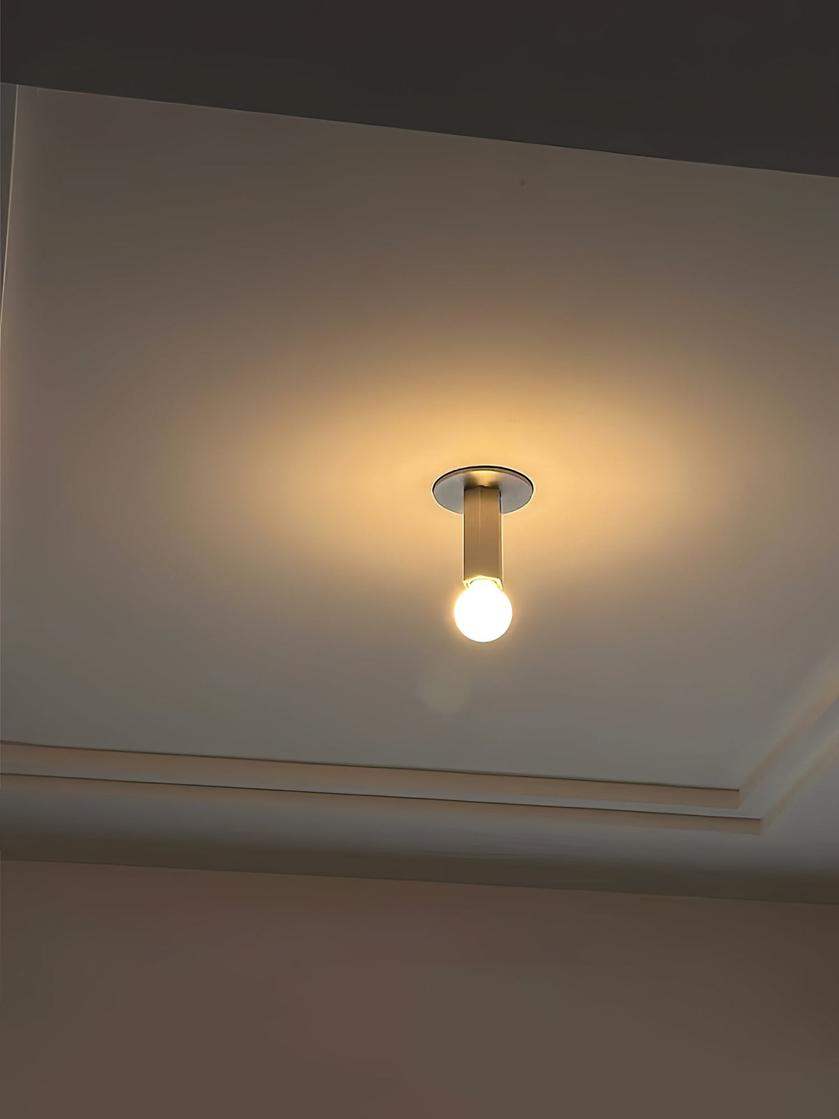 Lumareon Flush Mount Ceiling Lamp