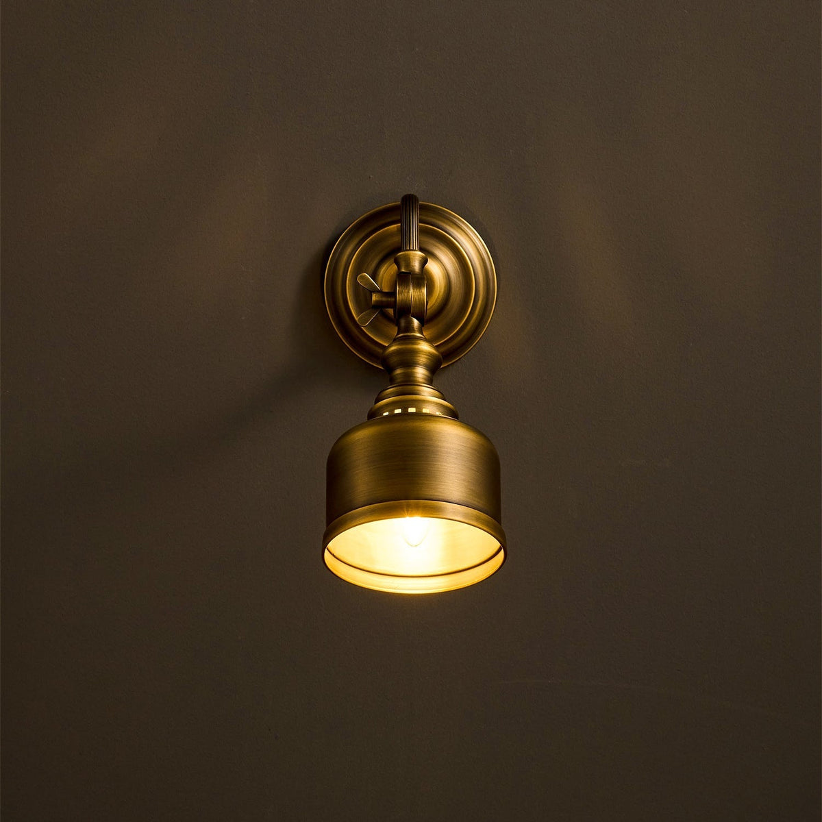 Orelelenne Gooseneck Wall Lamp