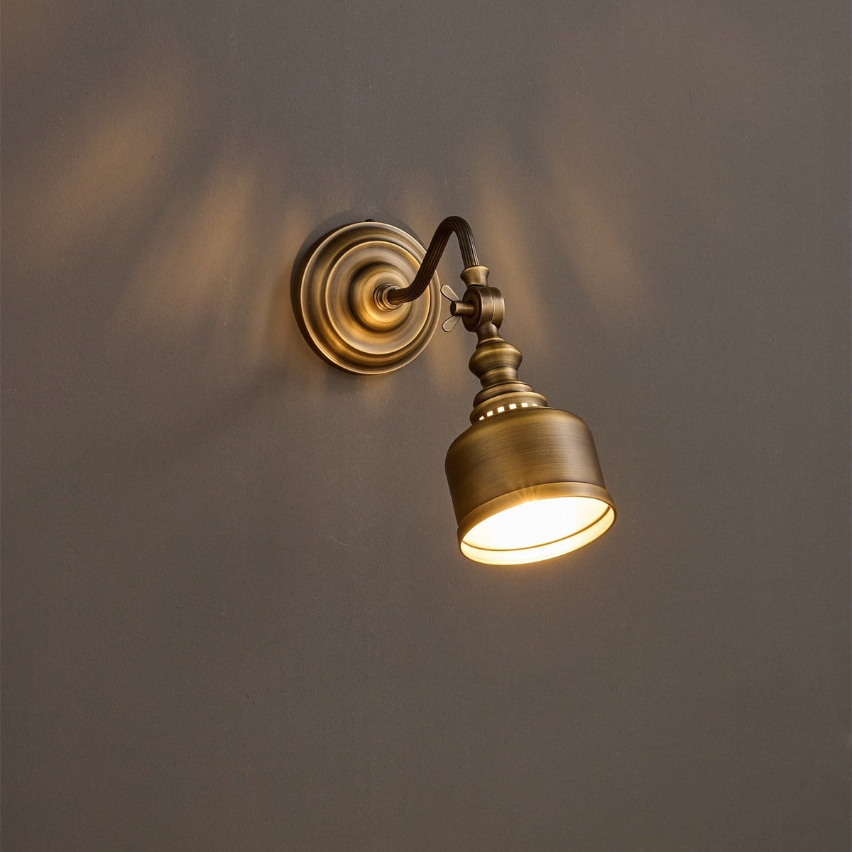 Orelelenne Gooseneck Wall Lamp