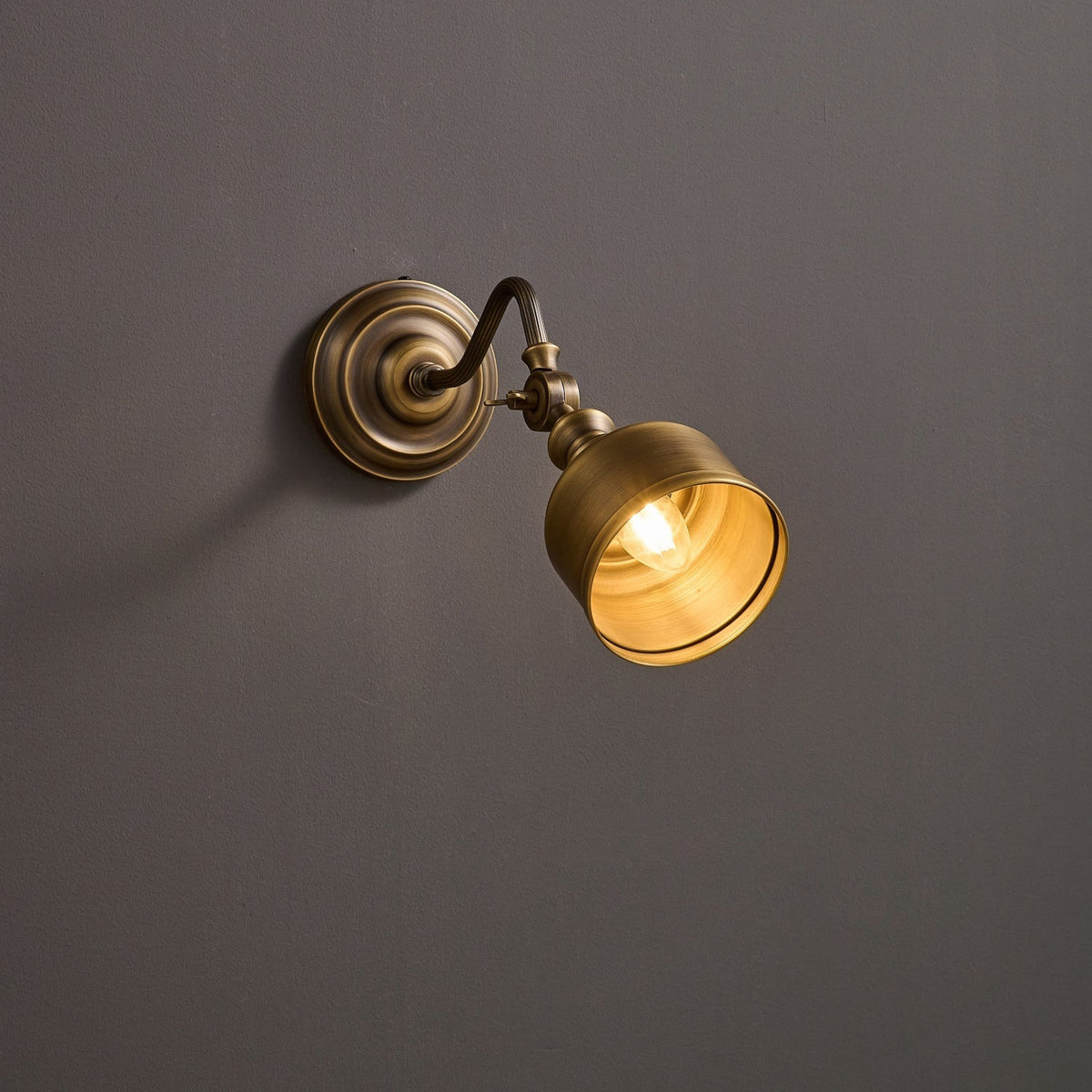 Orelelenne Gooseneck Wall Lamp