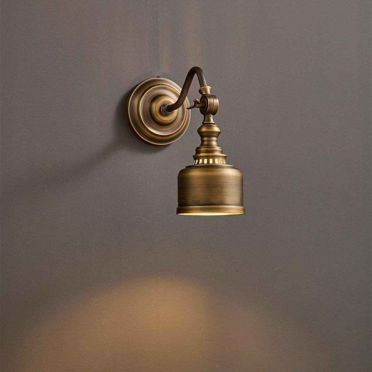 Orelelenne Gooseneck Wall Lamp
