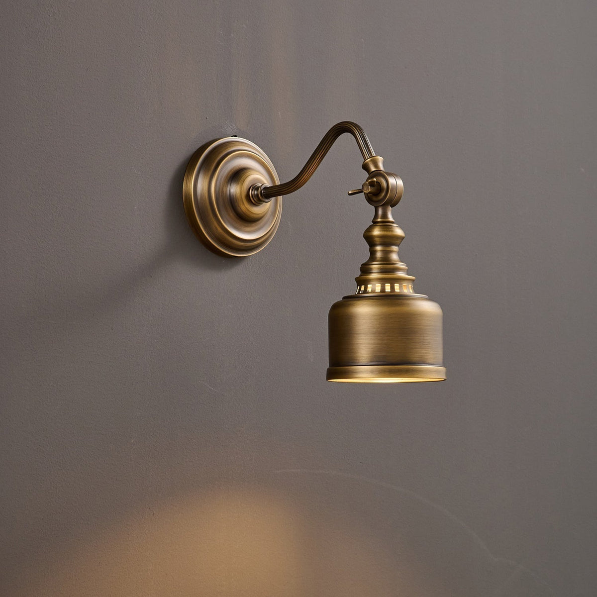 Orelelenne Gooseneck Wall Lamp