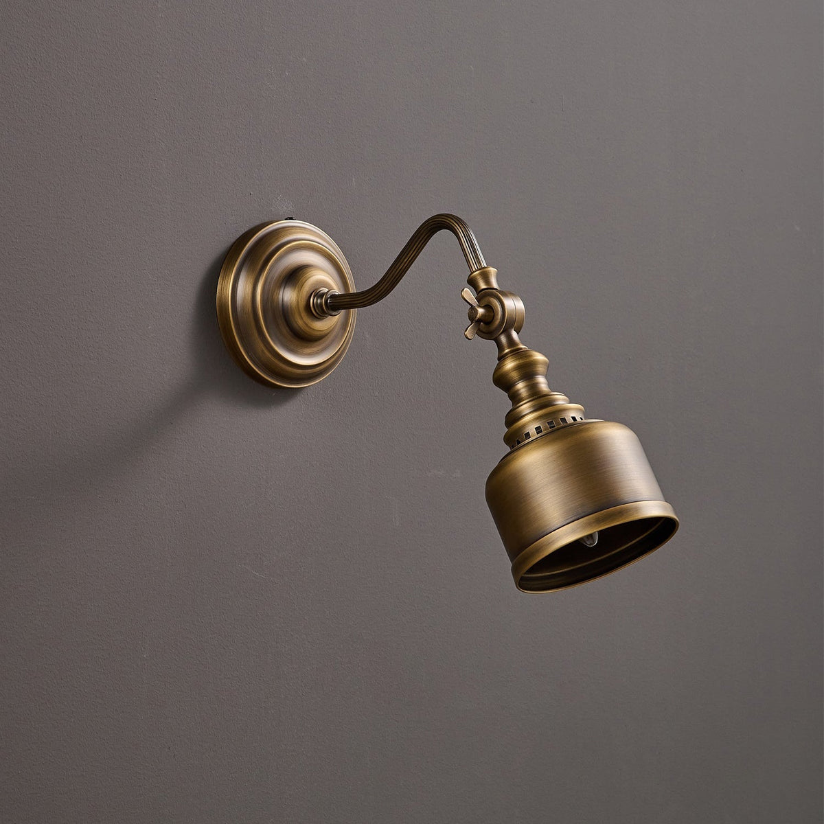 Orelelenne Gooseneck Wall Lamp