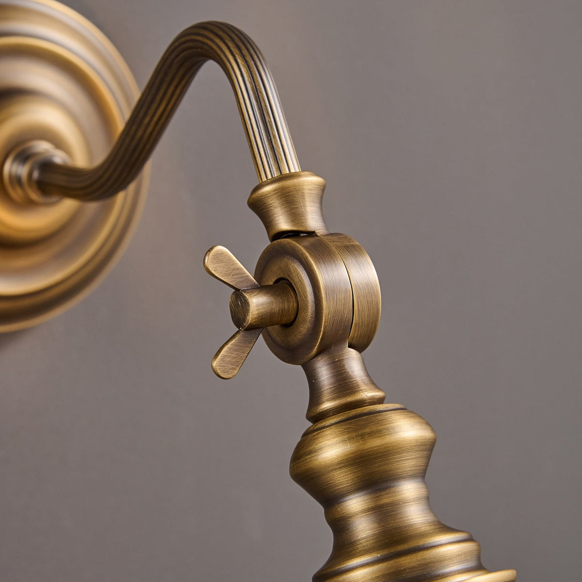 Orelelenne Gooseneck Wall Lamp