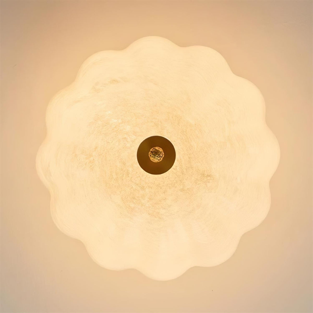 Cava Ceiling Light Brass and Glass with Elegant Petal Silhouette Modern