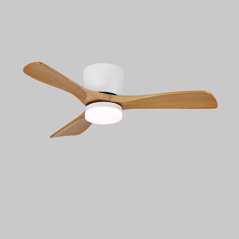 Knox Minimalist Ceiling Fan Light