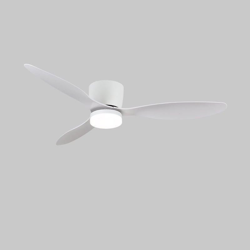 Brinor Minimalist Wood Ceiling Fan Light