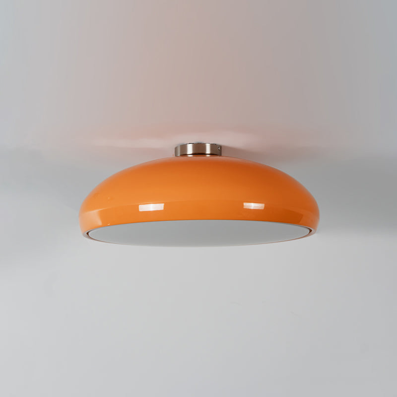 Lioroise Ceiling Light
