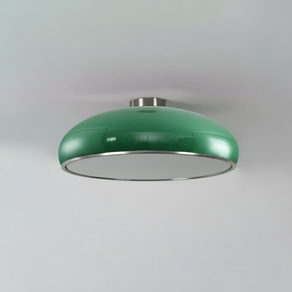 Lioroise Ceiling Light