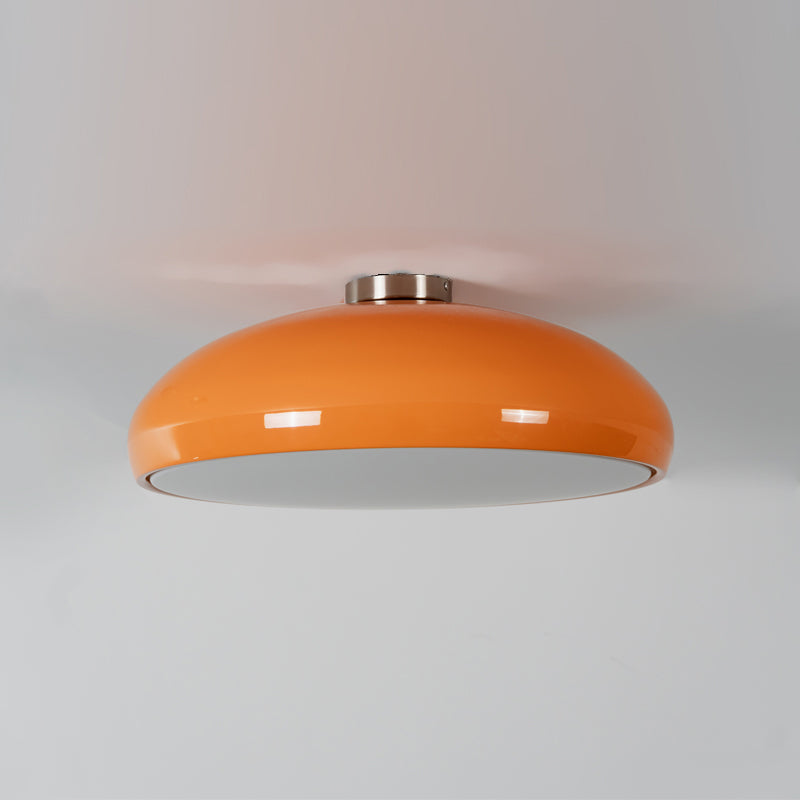 Lioroise Ceiling Light