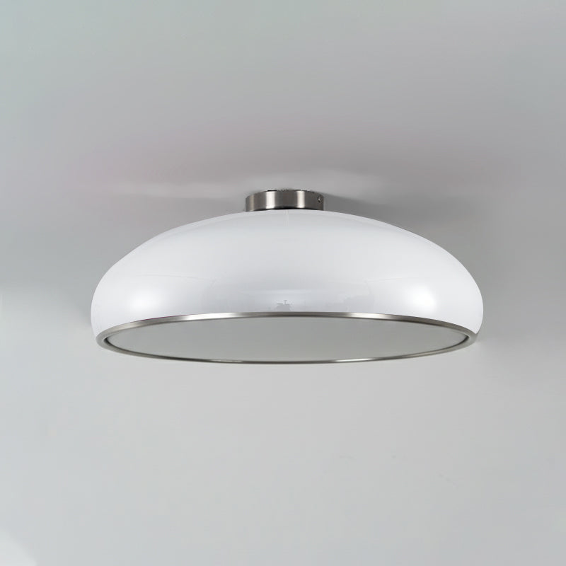 Lioroise Ceiling Light