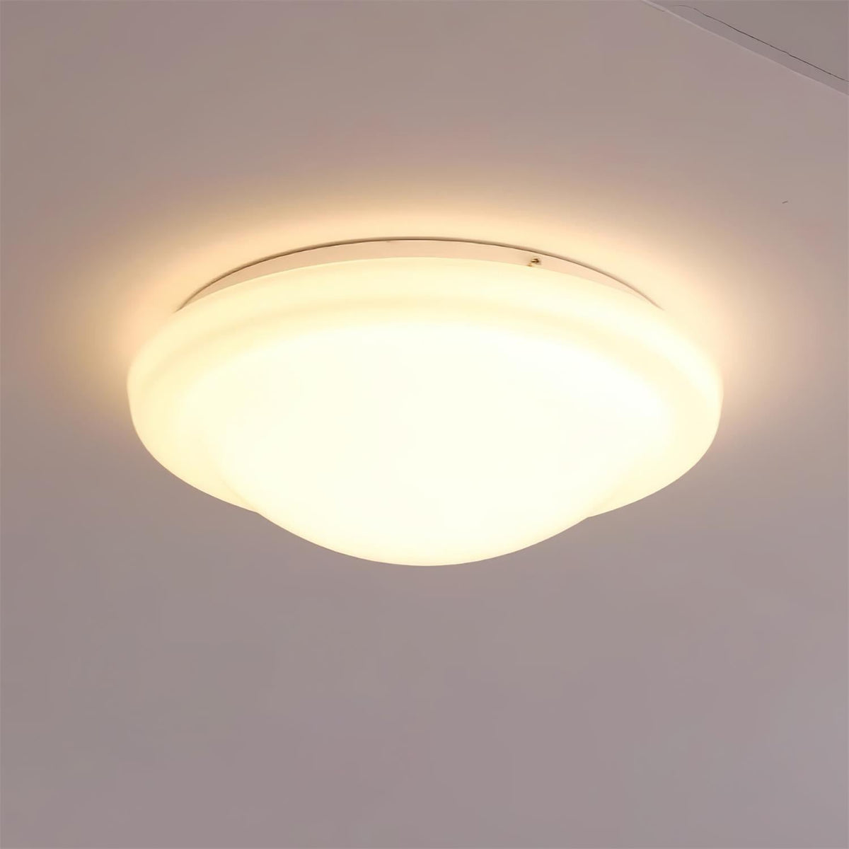 Seloelle Ceiling Light