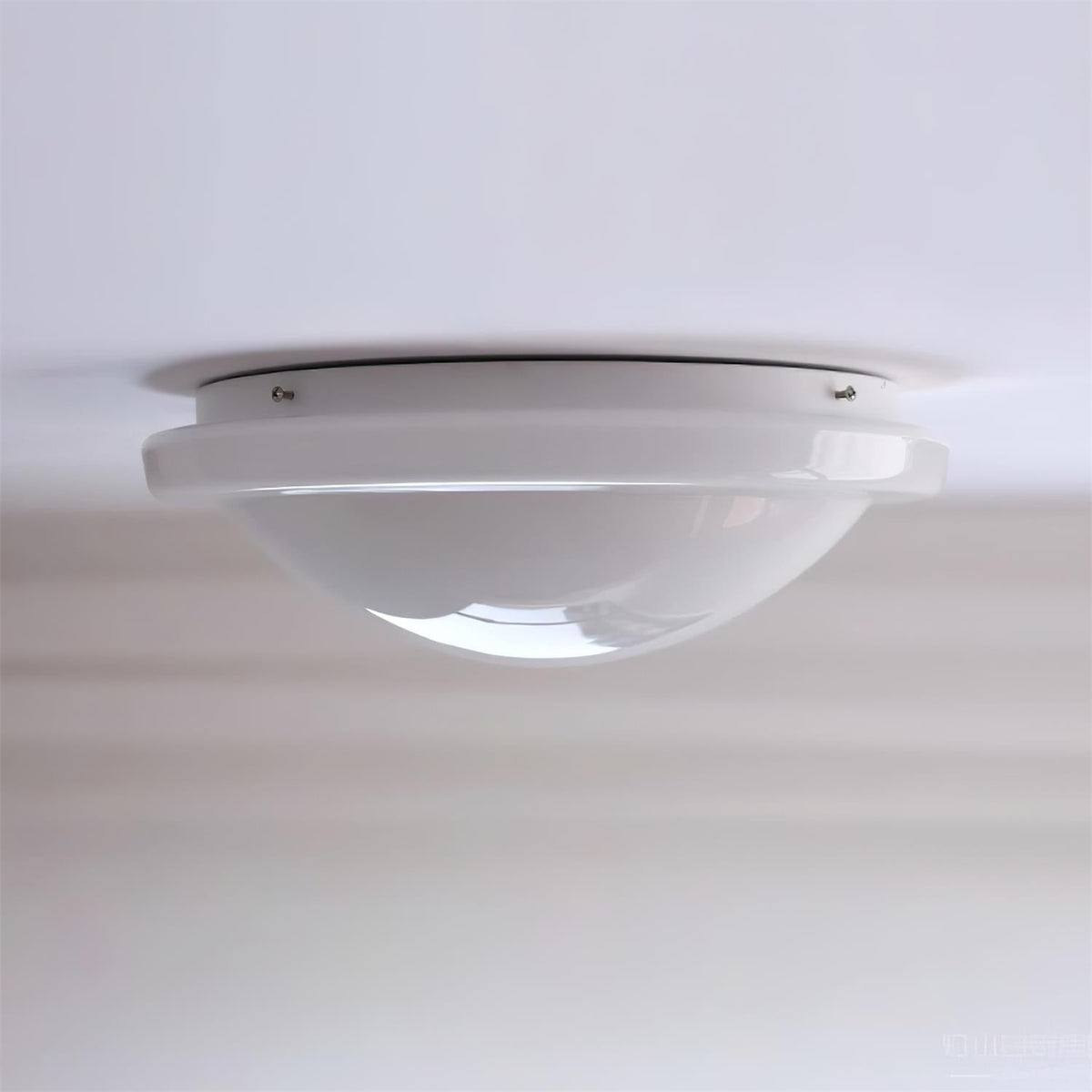 Seloelle Ceiling Light
