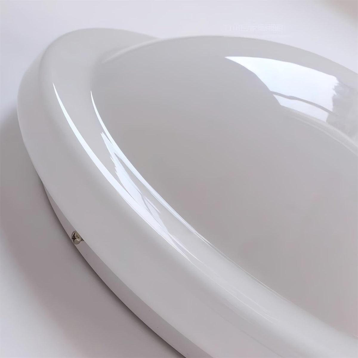 Seloelle Ceiling Light