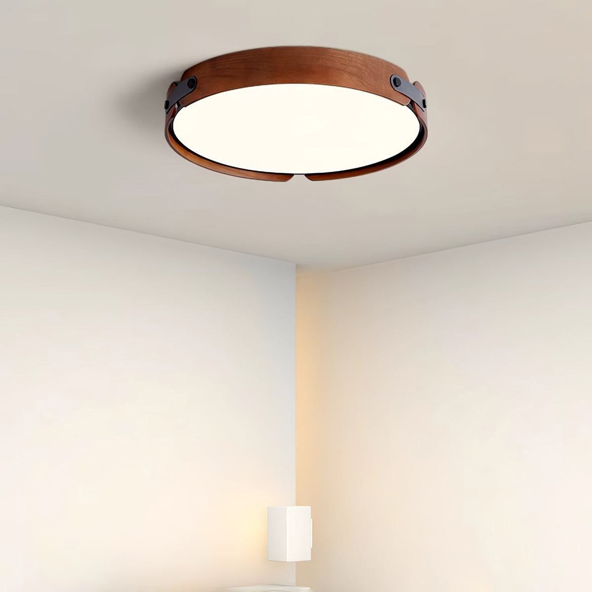 Edan Modern Minimalist Wood Ceiling Light