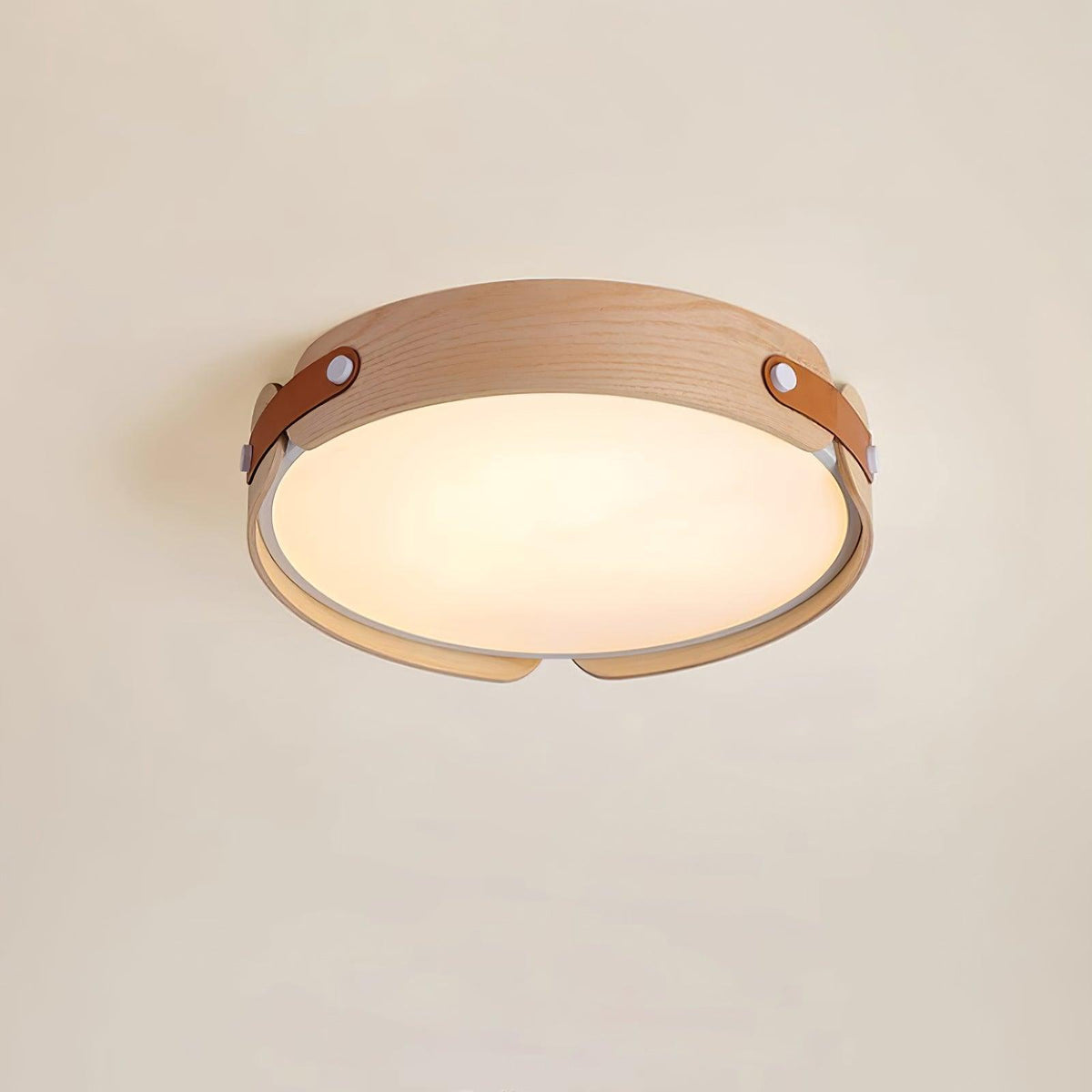 Edan Modern Minimalist Wood Ceiling Light