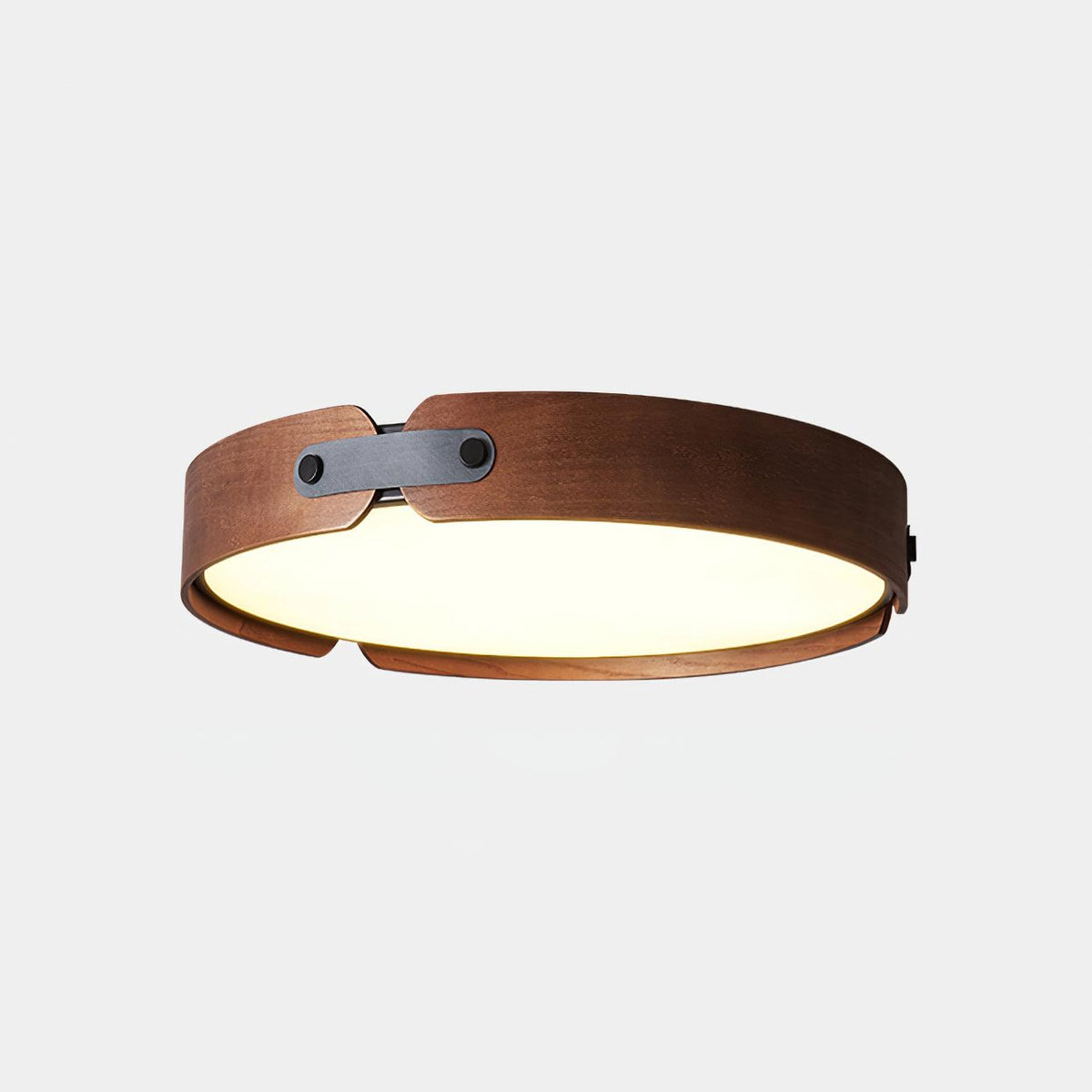 Edan Modern Minimalist Wood Ceiling Light