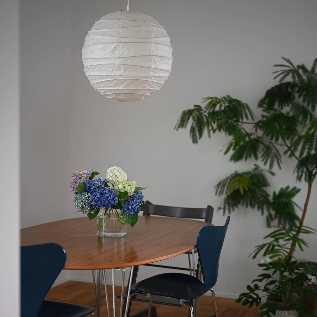Dulapod Pendant Light Japanese Paper Globe