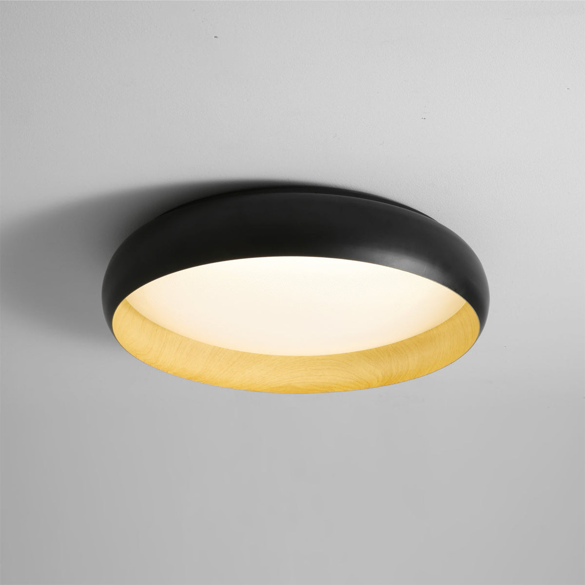 Ebonelle Ceiling Light