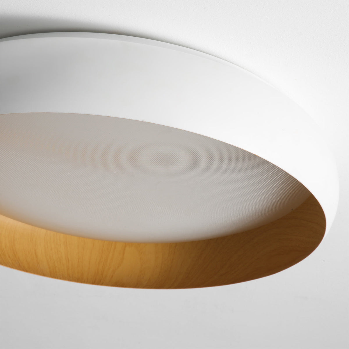 Ebonelle Ceiling Light