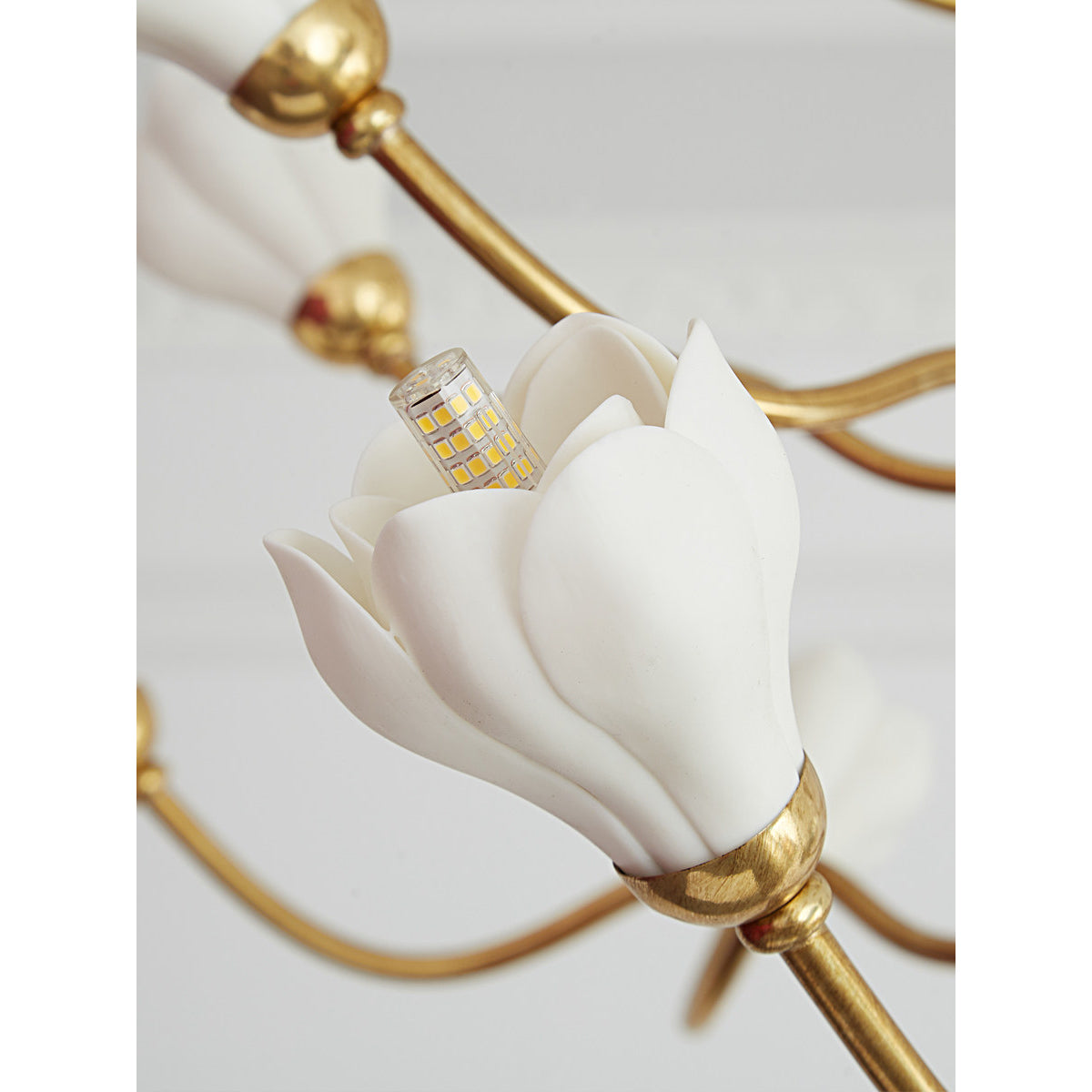 Virelisse Aldean Chandelier