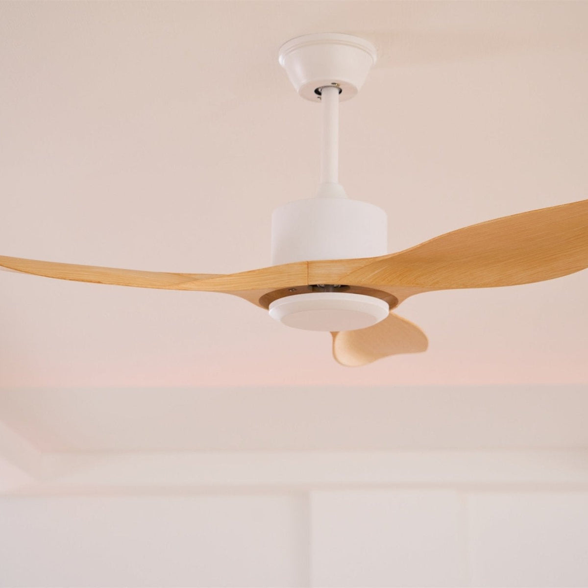 Aldaine Minimalist Wood Ceiling Fan