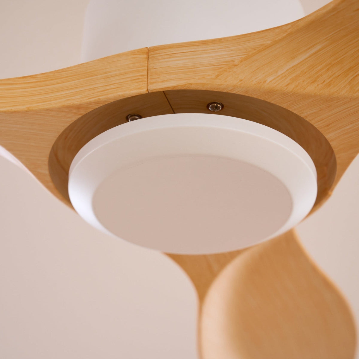 Aldaine Minimalist Wood Ceiling Fan