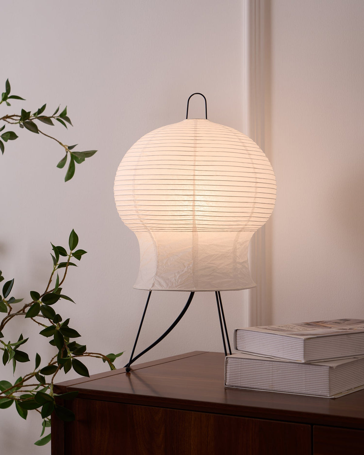 Selanaya Table Lamp