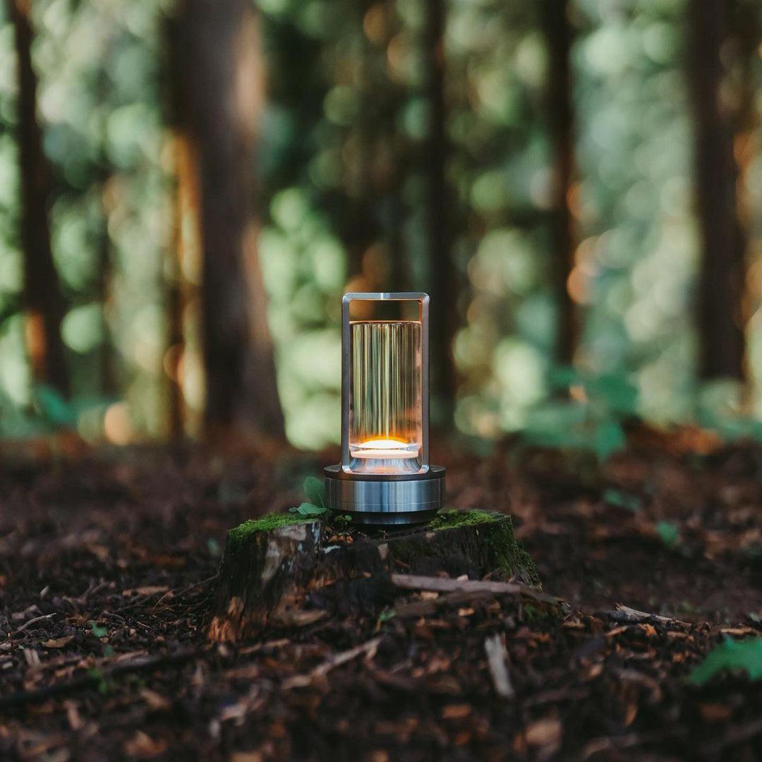 Calisina Table Lamp (built-in battery)